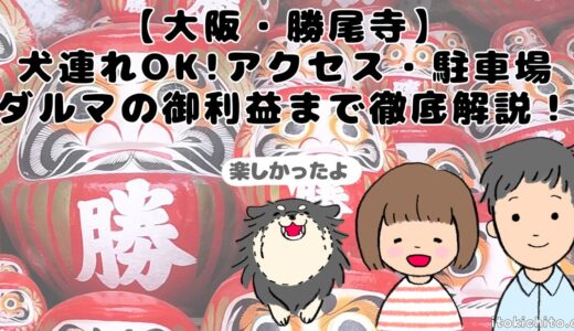 下のソーシャルリンクからフォロー